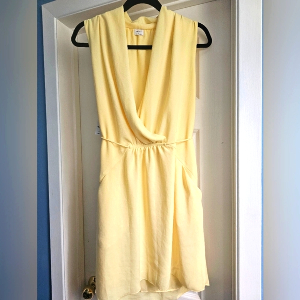NWT Wilfred summer dress w POCKETS! 🤩